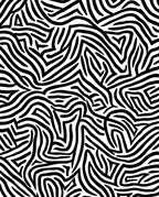 Wild Organic Black White Pattern Rug