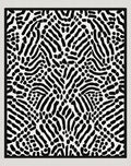 Abstract Organic Black White Pattern Rug