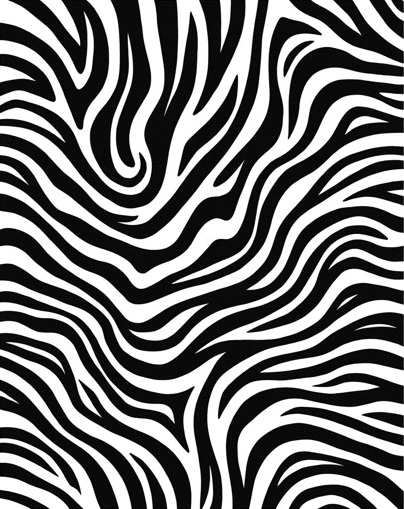 Bold Black White Striped Pattern Rug