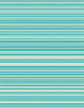 Thin Striped Turquoise Cream Design Rug