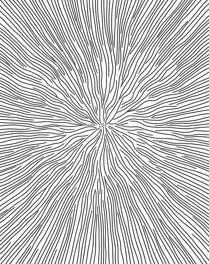 Radial Black And White Organic Lines Rug