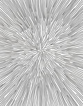 Radial Black And White Organic Lines Rug