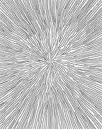Radial Black And White Organic Lines Rug