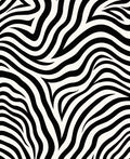 Bold Black White Zebra Pattern Rug