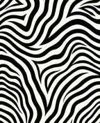 Bold Black White Zebra Pattern Rug