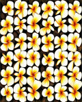 Golden Flower Pattern Tropical Chic Design Rug