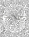Radial Burst Abstract Line Art Rug