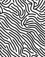 Bold Wavy Black White Abstract Rug