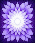 Purple Floral Petal Layered Design Rug