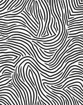 Abstract Black And White Zebra Pattern Rug