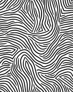 Abstract Black And White Zebra Pattern Rug