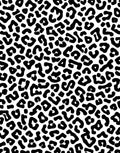Bold Black Cheetah Spot Pattern Rug