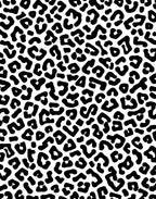 Bold Black Cheetah Spot Pattern Rug