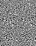Wild Animal Spots Pattern Rug
