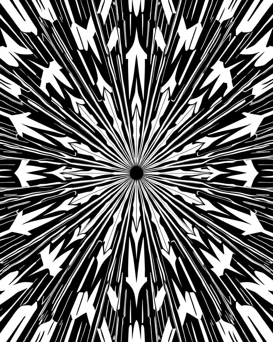 Sleek Black White Arrow Motif Rug