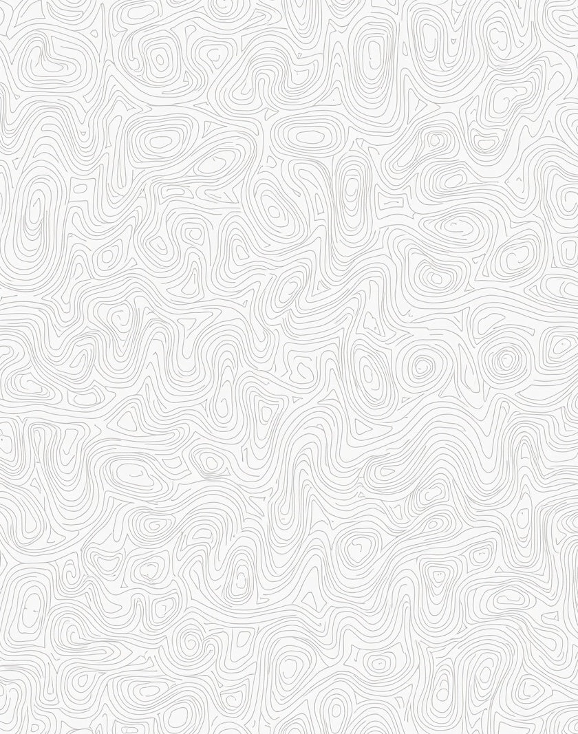 Abstract Contour Patterned Rug