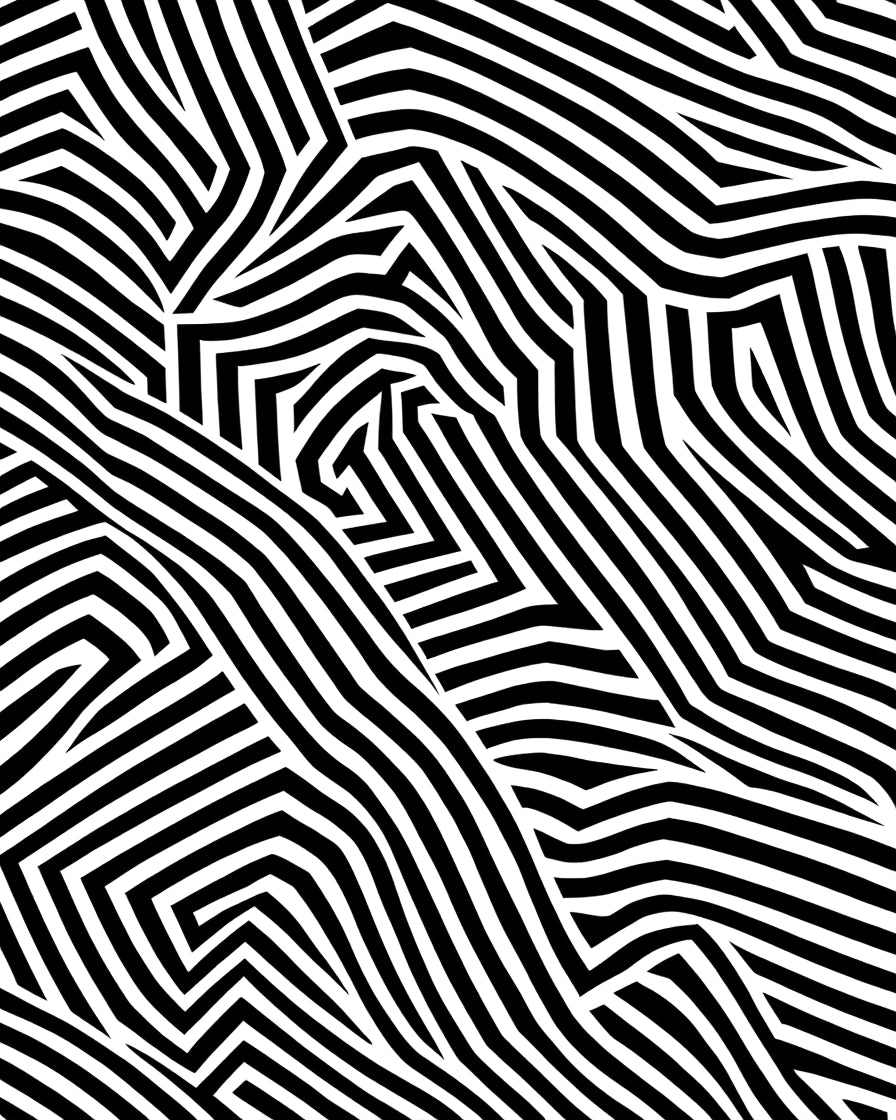 Abstract Black White Stripe Design Rug