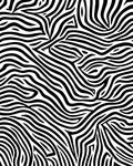 Abstract Black White Zebra Stripes Rug