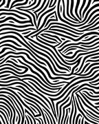 Abstract Black White Zebra Stripes Rug