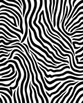 Bold Black White Zebra Stripe Design Rug