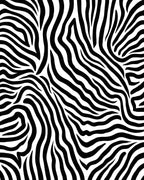 Bold Black White Zebra Stripe Design Rug