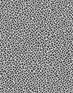 Bold Black And White Animal Print Rug