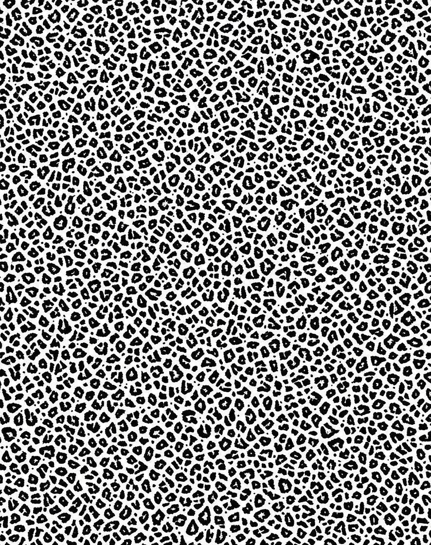 Bold Black And White Animal Print Rug