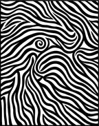 Abstract Black and White Zebra Swirl Rug