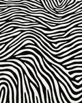 Bold Black White Zebra Stripe Rug