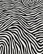 Bold Black White Zebra Stripe Rug