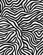 Bold Black White Wavy Stripes Rug