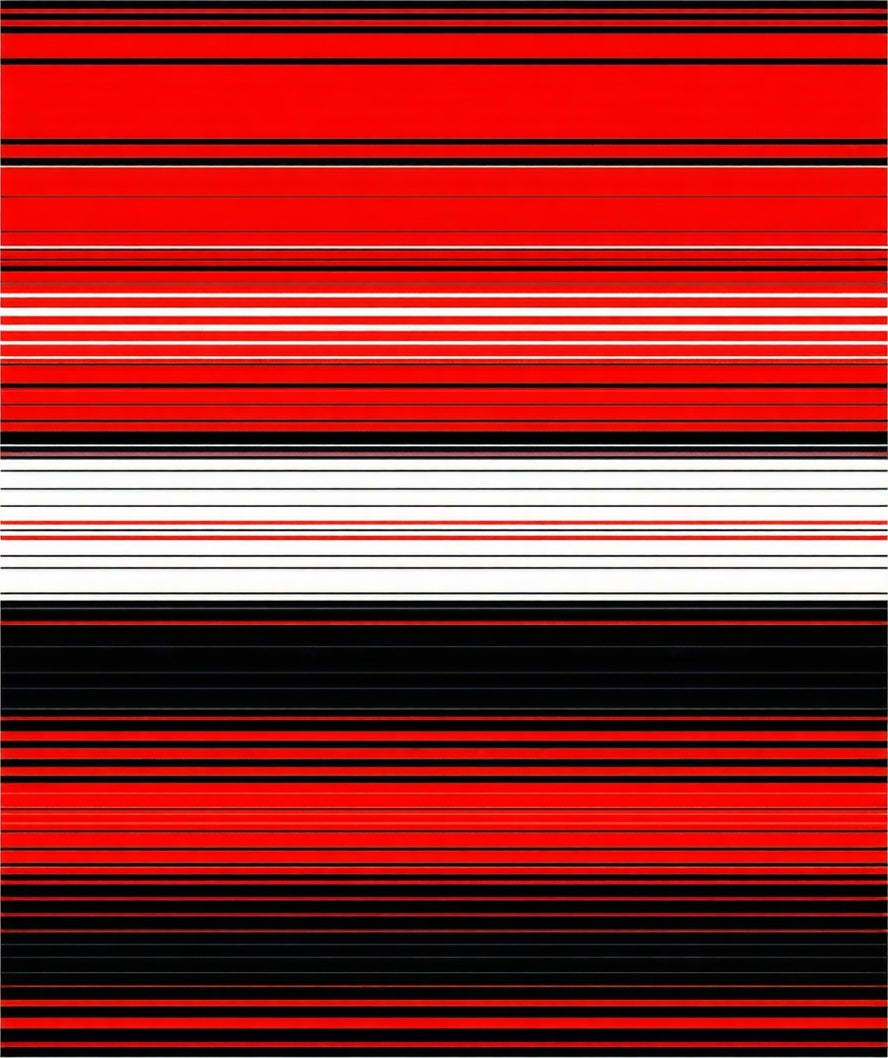 Abstract Red Black White Striped Style Rug