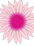 Pink Floral Daisy Radiating Design Rug