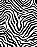 Bold Zebra Stripe Pattern Rug