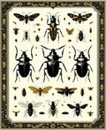 Insect Botanical Golden Frame Design Rug