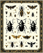Insect Botanical Golden Frame Design Rug