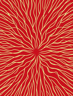 Red and Yellow Radial Organic Pattern Rug