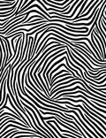Bold Black White Animal Print Rug