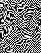 Bold Black White Animal Print Rug