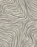 Flowing Abstract Black Beige Lines Rug