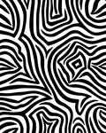 Bold Black White Abstract Zebra Rug