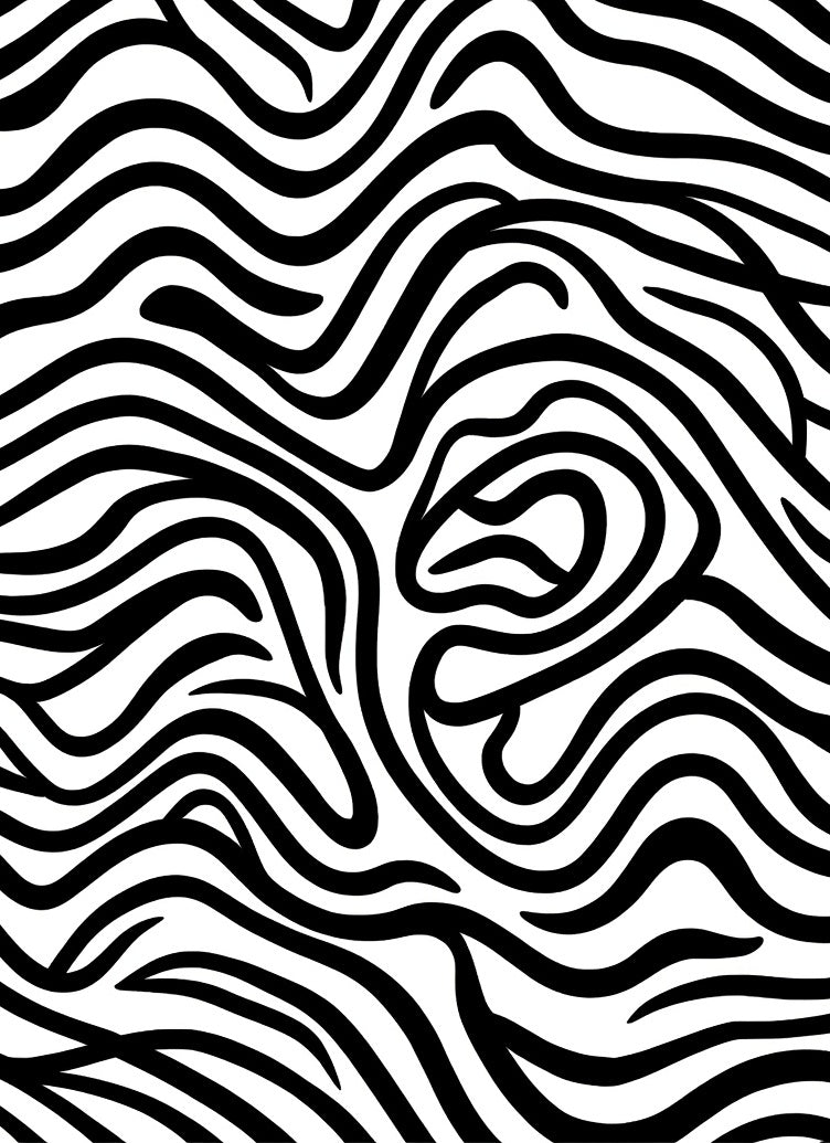Bold Wavy Black White Pattern Rug