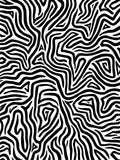 Abstract Black White Organic Lines Rug