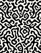 Black White Organic Maze Pattern Rug