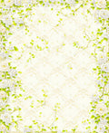 Floral Vine Patterned Ivory Rug