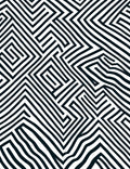 Monochromatic Maze Lines Rug