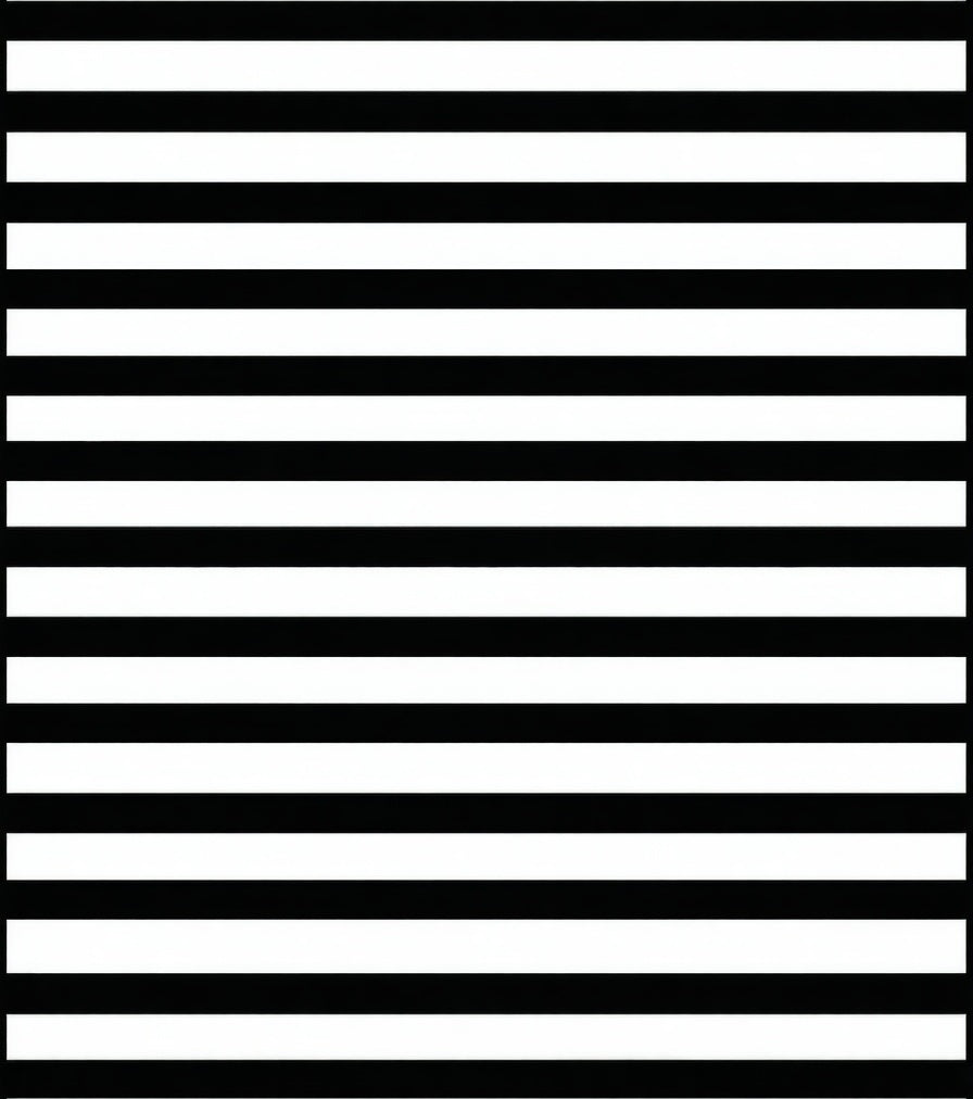 Classic Black White Stripe Pattern Rug