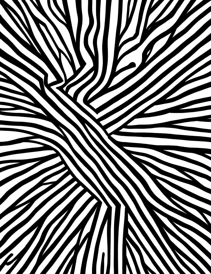 Mono Black Zebra Stripe Pattern Rug
