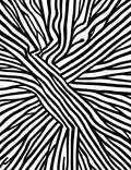 Mono Black Zebra Stripe Pattern Rug
