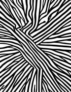 Mono Black Zebra Stripe Pattern Rug